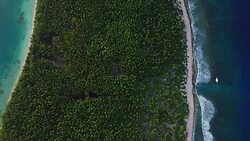 Overhead of Manra atoll, palm trees and beach hut Stock Footage