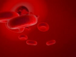 Fly Through Blood Stock Footage