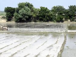 Farmer Plowing Field Using Tractor Stock Footage