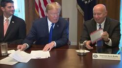 Trump Plants Kiss on Republican Tax Plan News Clip