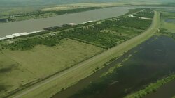 Swamps surround the Mississippi River. Stock Footage