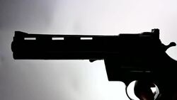 Shot gun Stock Footage