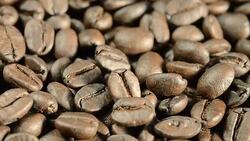 coffee beans Stock Footage