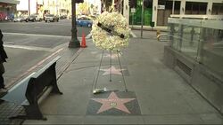 Flowers placed on Hollywood Walk of Fame star for Bobby Rogers of The Miracles News Clip