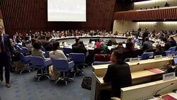 VOICED : OMS declara emergencia de salud global brote de zika News Clip