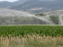 Watering cornfield on a farm in Colorado Stock Footage