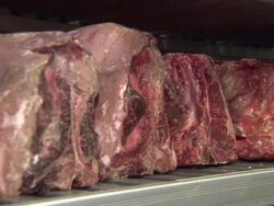 Hung aged beef in kitchen store room News Clip