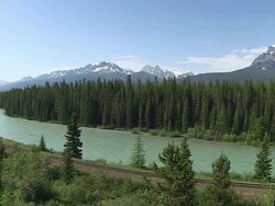 WS View of Bow River at Morants Curve / Banff Nationalpark, Alberta, Canada Stock Footage