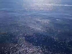 Beautiful Ocean Landscape with Speedboat, HD Video Stock Footage