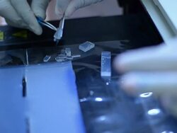 Scientist and bio lab experiment Stock Footage