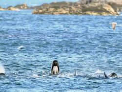 The Week In Pictures 27.05.2011 Stock Footage