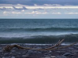 SLOW MOTION: Driftwood Stock Footage