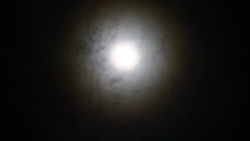 Moonlight Stock Footage