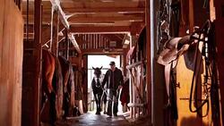 DS Man leading his horse into the stall Stock Footage