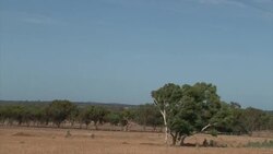 Plane takes off as search focuses on area where debris spotted Instructional Video
