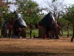 MS Two cottage in African village with women cooking / Village Himba Namiba, Namibia Stock Footage