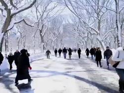 February 2013 winter storm, Central Park, NYC Stock Footage
