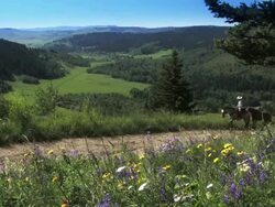 Cowgirl leads a horse Stock Footage