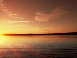 Couple jumps into lake. Stock Footage