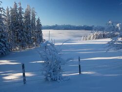 moving mist Stock Footage