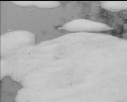 RETURN TO THE RIVER? News Clip