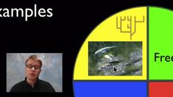 AP Biology Practice 4 - Data Collection Strategies Instructional Video