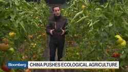 China Turns to Tech to Feed 1.4 Billion News Clip