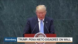Trump's Mexico Visit: Diplomacy or Political Theater? News Clip