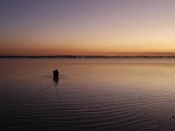 Kamayura Tribe Of The Xingu Indian Reserve Stock Footage