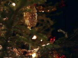 Detail of a Christmas tree Stock Footage