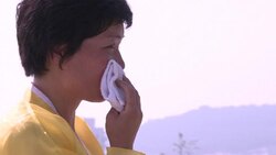 CLEAN : North Korea to showcase military News Clip