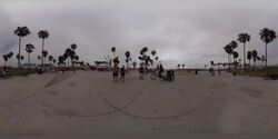 Venice Beach Skate Park Stock Footage