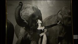 Preview of auction of photographs by Richard Avedon News Clip