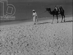 Arab men, camels, and North African buildings. France, 1955 Stock Footage