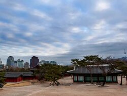 WS T/L Scene of N Seoul Tower and Changgyeonggung Palace / Seoul, South Korea Stock Footage