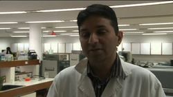 Cockroaches are a key weapon against hospital infections News Clip