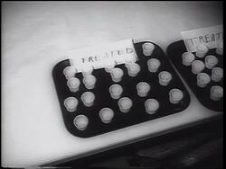 B/W 1962 close up two trays with paper cups full of oral polio vaccine / "Treated" signs on trays / newsreel Stock Footage