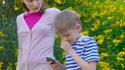 allergic to bloom Stock Footage