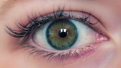 the eye is watching Stock Footage