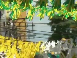 Brazilian football fans celebrate in Manaus News Clip