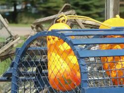 Lobster cage outside wuth the colors of Acadia Stock Footage
