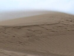 'Frozen Garden of Eden' blooms in Arctic vault News Clip