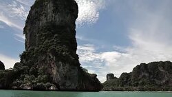 beach with exotic plants and white sand Stock Footage