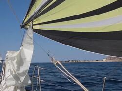 sailing race Stock Footage