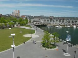WS T/L  People pedistraining at Boston Harbor long wharf Park / Boston, Massachusetts, USA Stock Footage