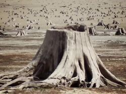 wasteland (version two) Stock Footage