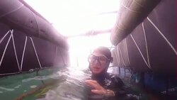 Shark at sea underwater taking bait News Clip