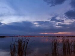 swamp view twilight Stock Footage