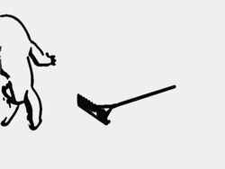 Bean-Hero Life (experience) Stock Footage