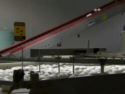Eggs on conveyor belts. Stock Footage